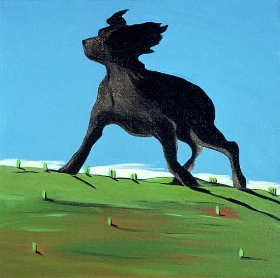 Amazing Black Dog, 2000 (acrylic on canvas)  von Marjorie  Weiss