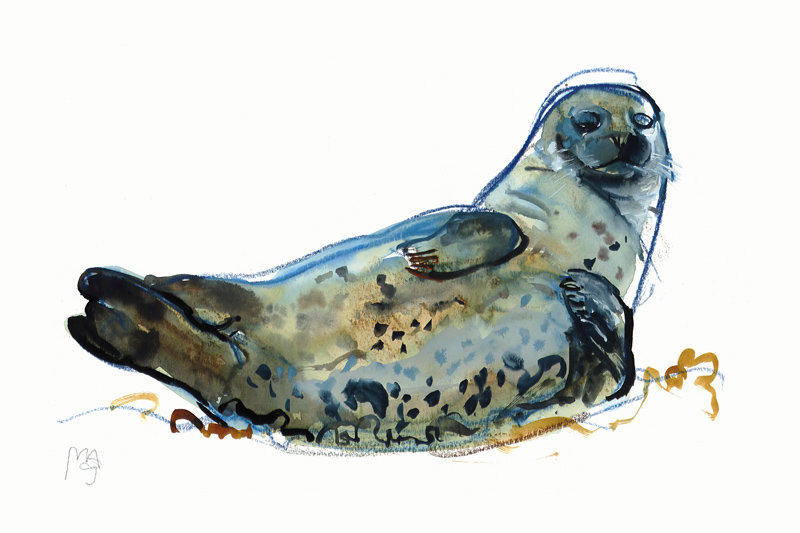 Westcove seal von Mark  Adlington