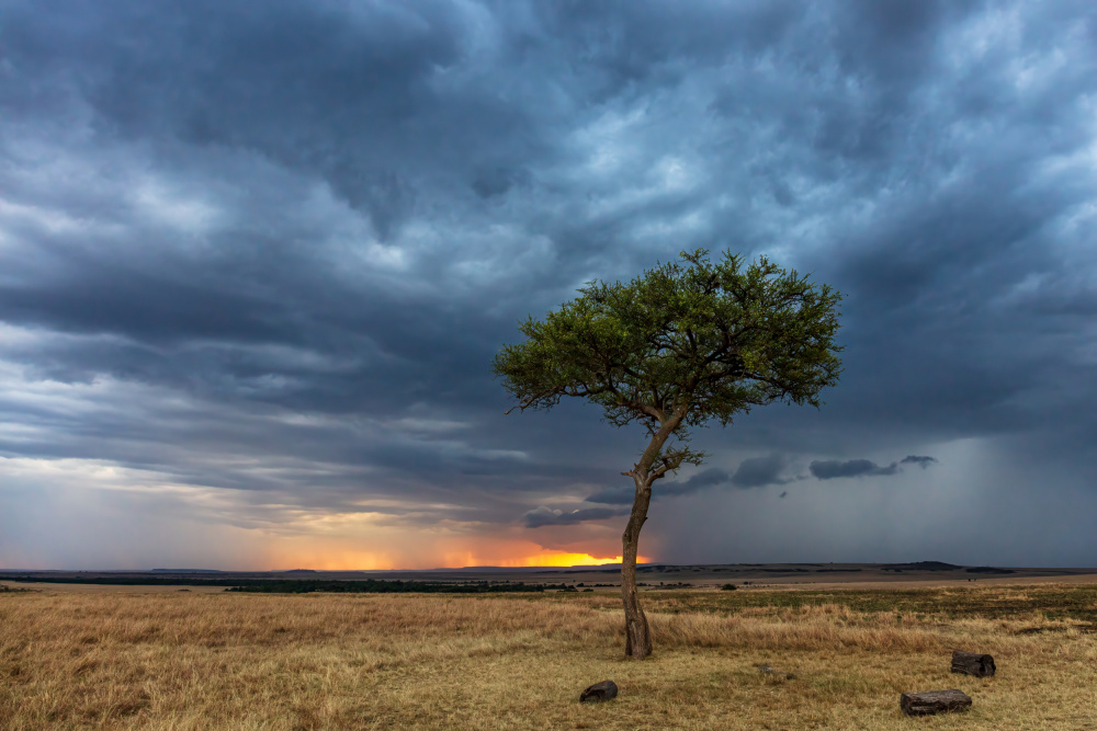 Light at the End of the Storm von Mark Strom