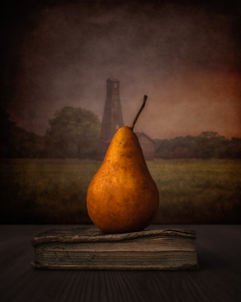 Pear von Marko Klavs