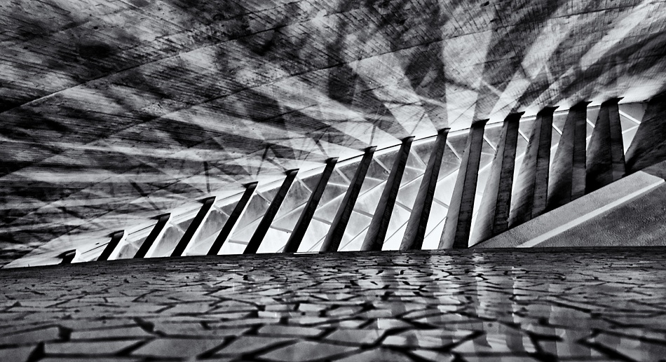 Auditorio de Tenerife von Martin Fleckenstein