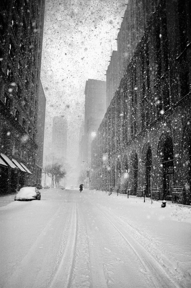 New York Walker in Blizzard von Martin Froyda