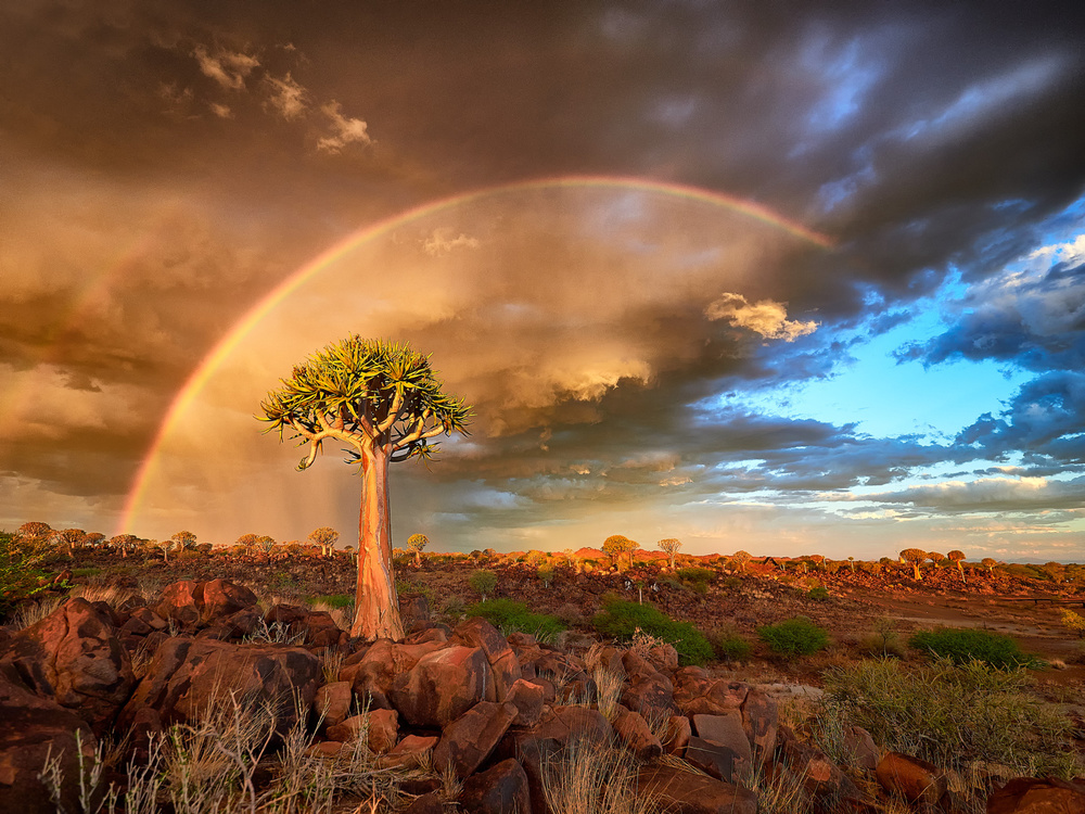 After the rain von Martin Groth