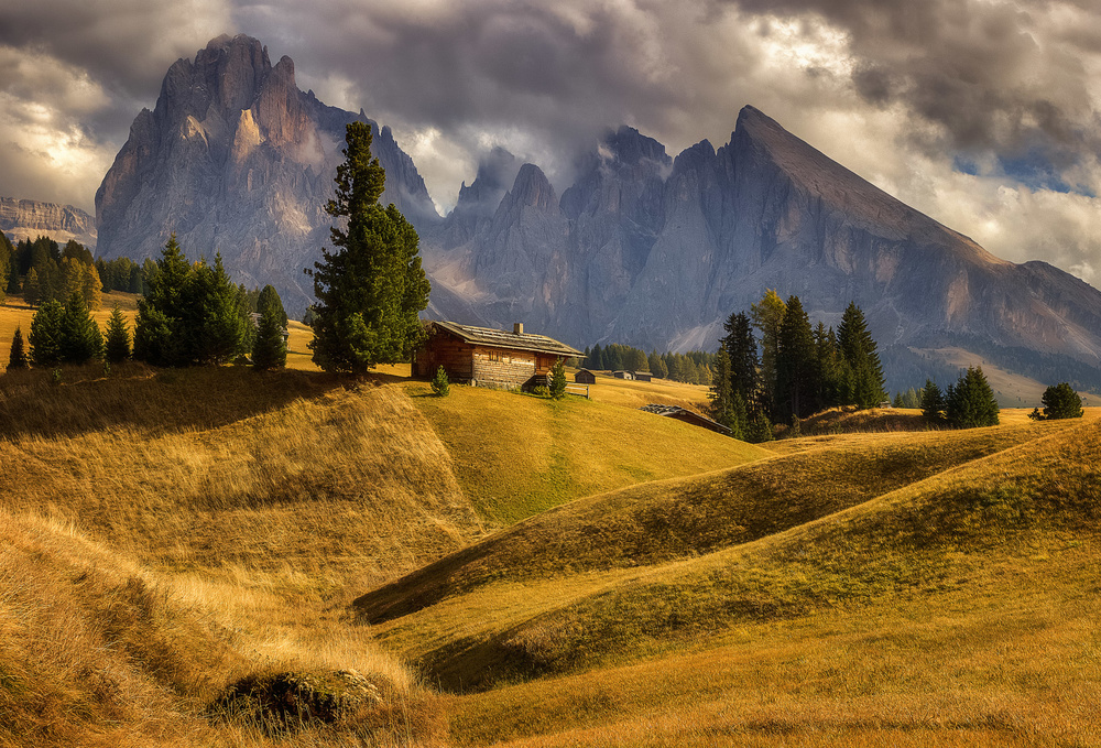 On a mountain meadow von Martin Kucera AFIAP AZSF