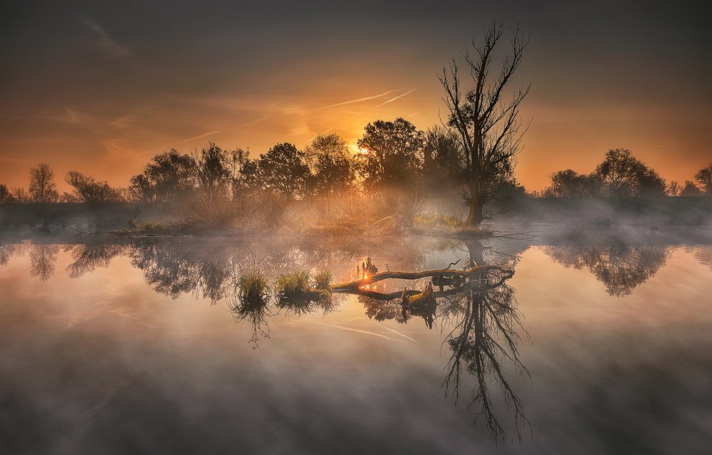 Autumn morning in lowlands von Martin Kucera AFIAP AZSF