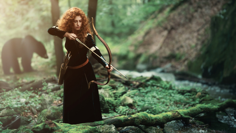 Merida - The Brave von Martin Lee