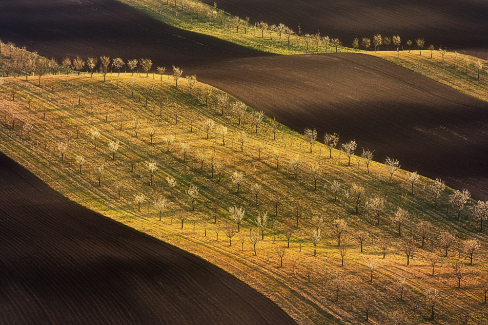 Moravian Tuscany Waves #2 von Martin Morávek