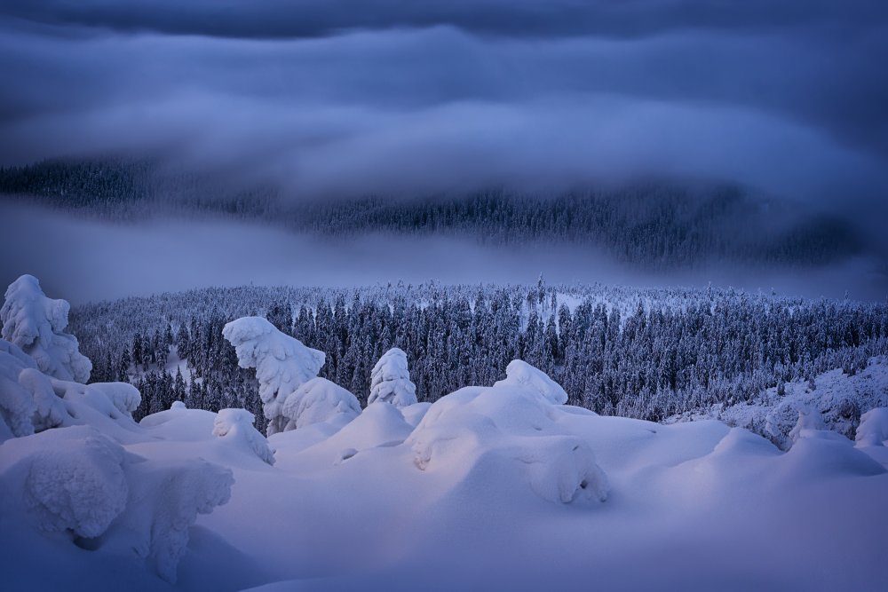 Krkonose - National Park II von Martin Morávek