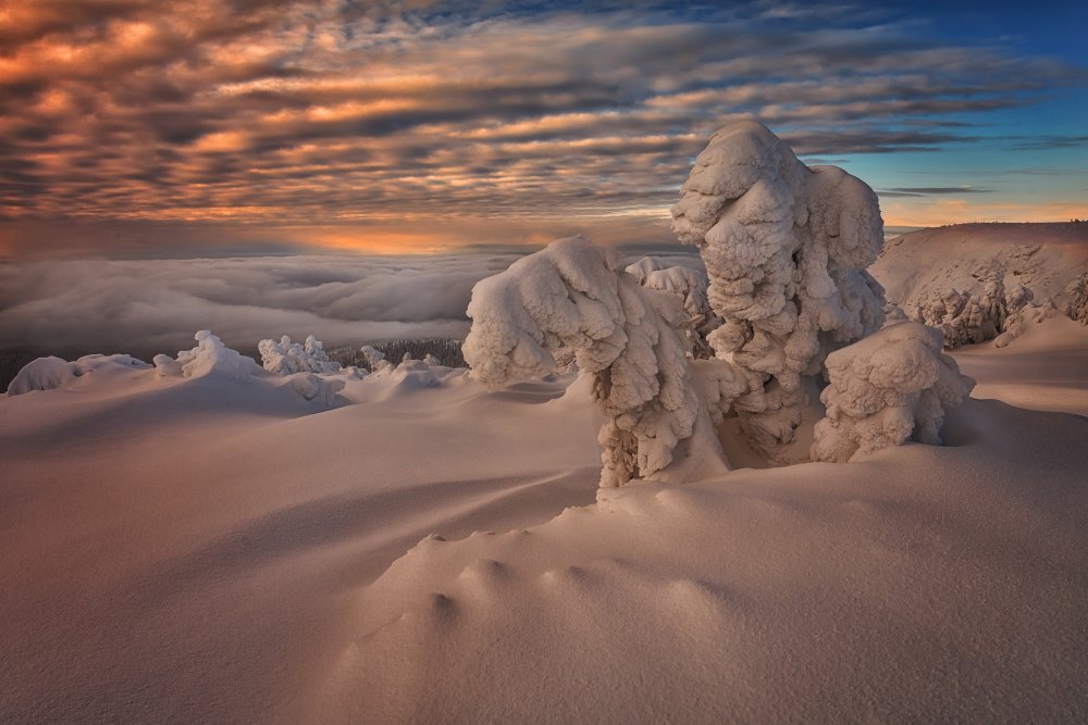 Krkonose - National Park IV von Martin Morávek