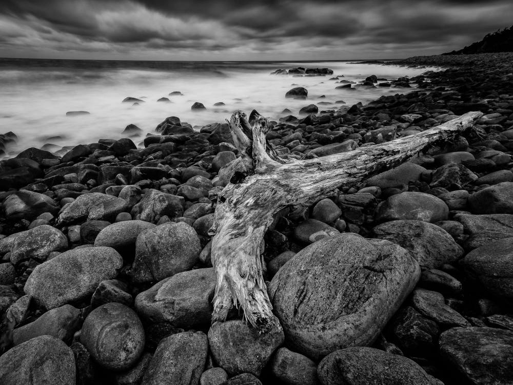 Driftwood von Martin Steeb