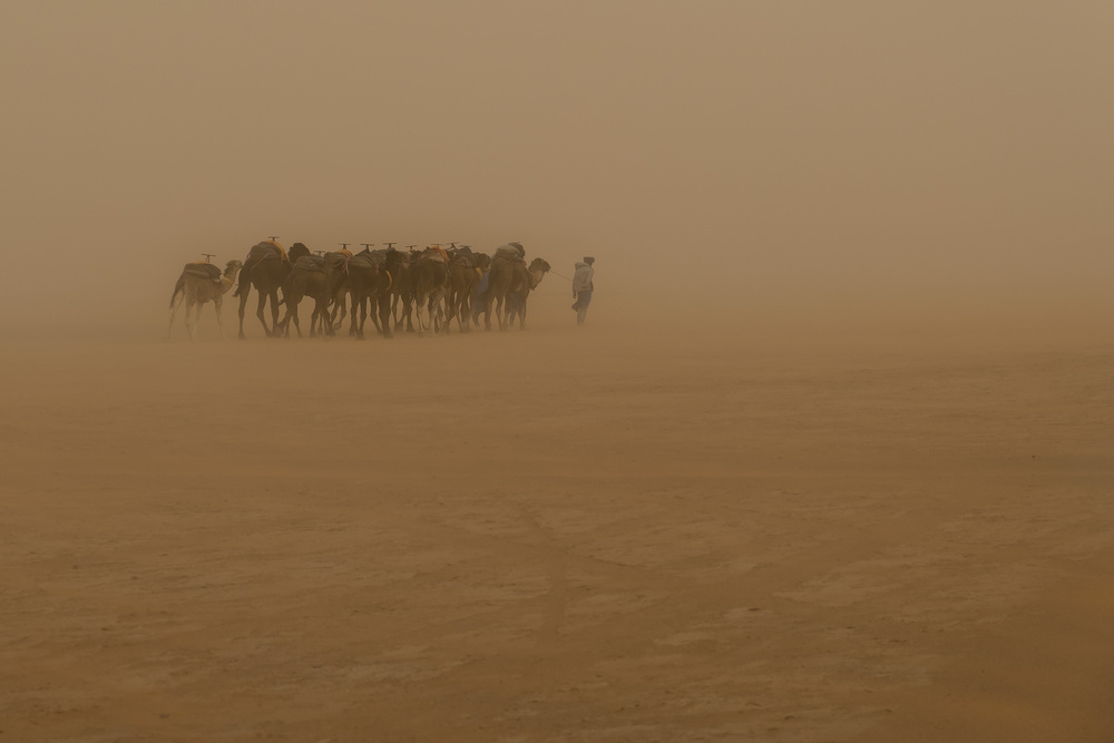 Desert Storm von Martin Steeb