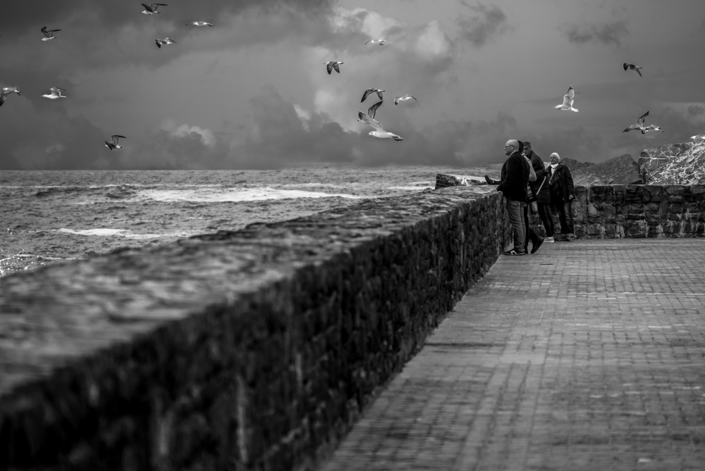 Flying Flock von Martin Wong