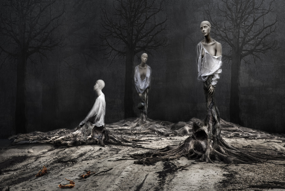 The murdered forest von Martine Benezech