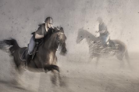 Gallop along the beach