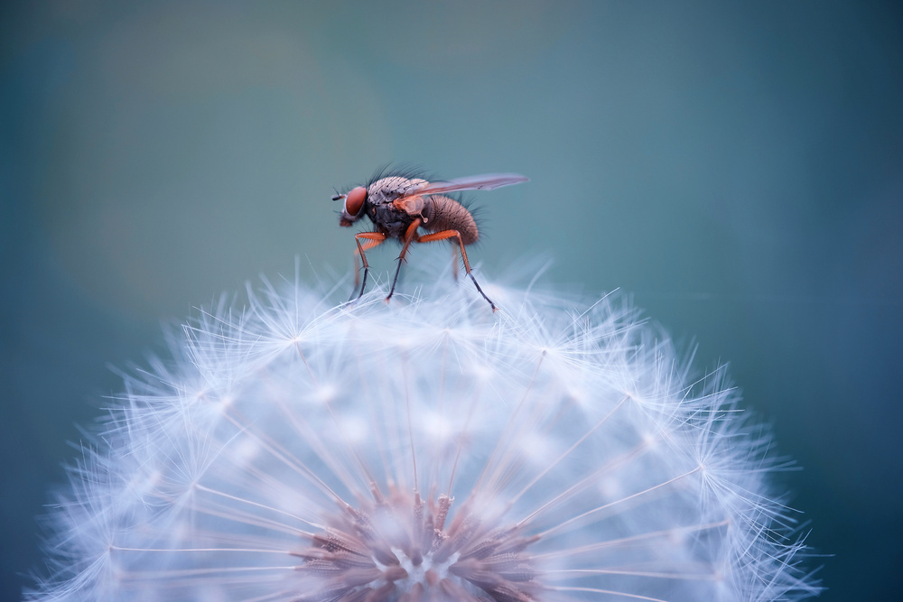 Equilibre von Martineb