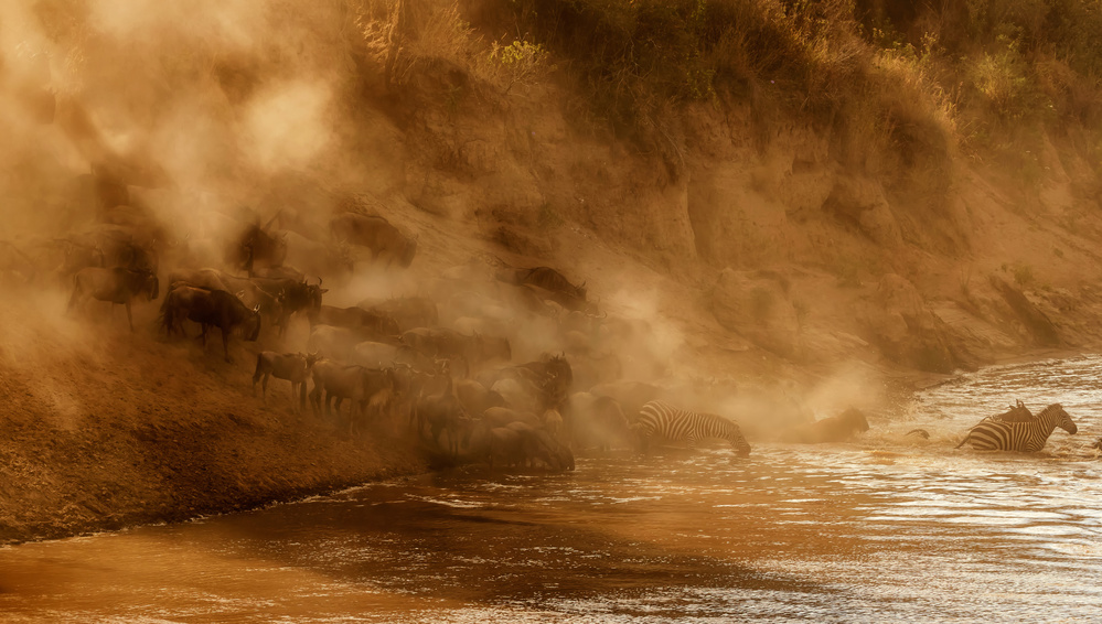 Plunging into the river von Mary Jiang