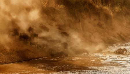 Plunging into the river