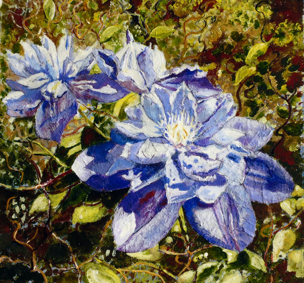 Clematis von Mary Smith