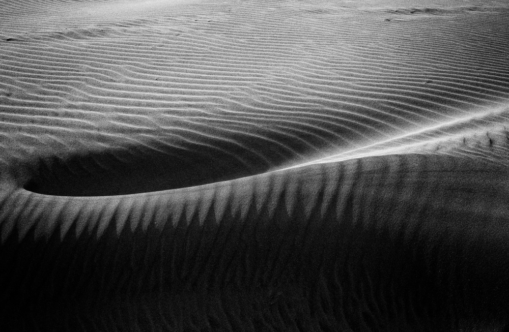 In the hollow of the dunes von Maryse Dardaillon