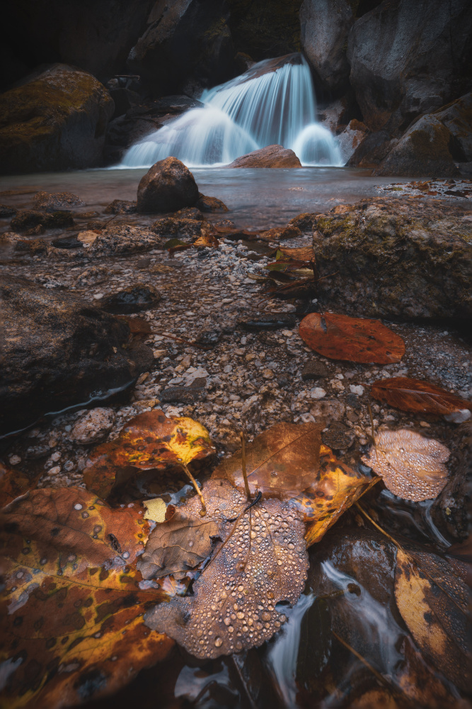 Leaves and waterfalls von Masaki Sugita