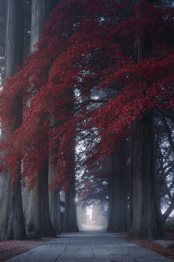 Chouenji Temple von Masaki Sugita