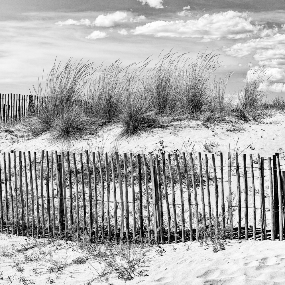 Scent of the sea von Massimo Della Latta