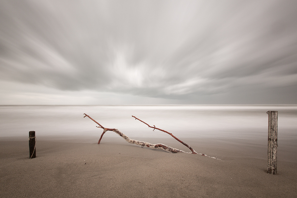 In the wind von Massimo Della Latta