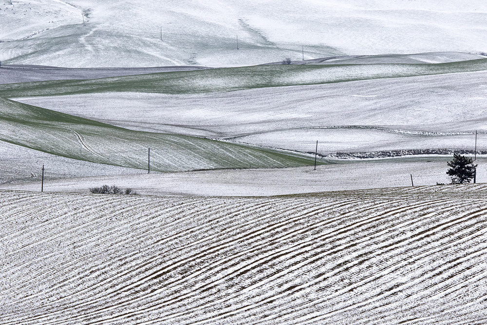 Val DOrcia in bianco von Massimo Della Latta