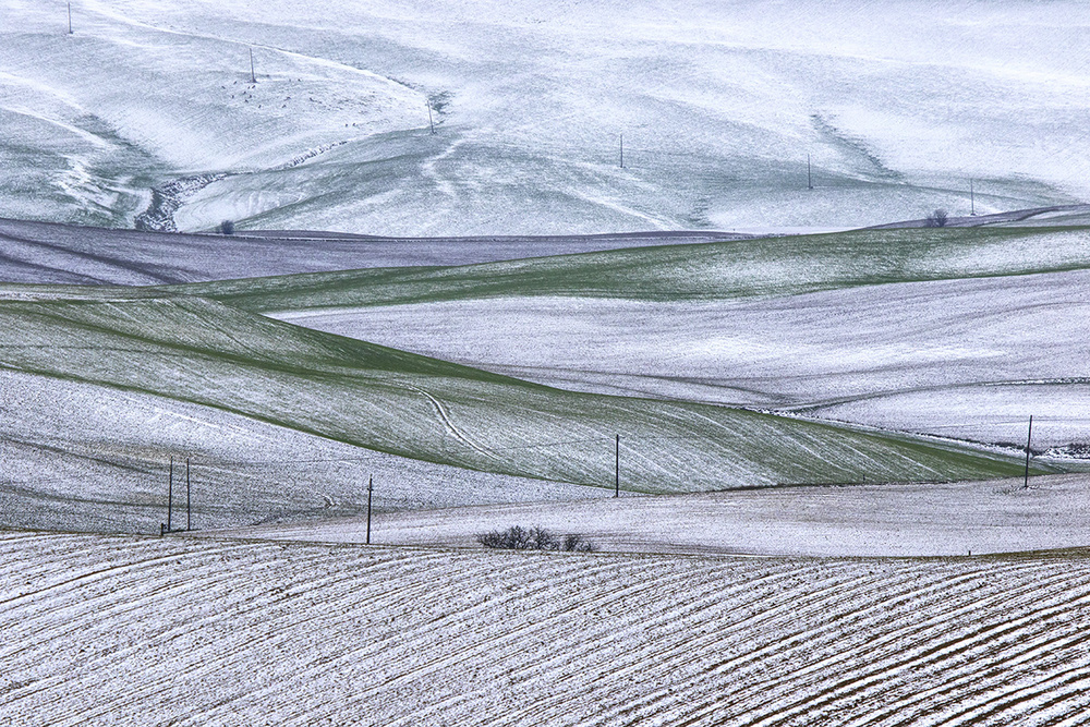 Val DOrcia in bianco 2 von Massimo Della Latta