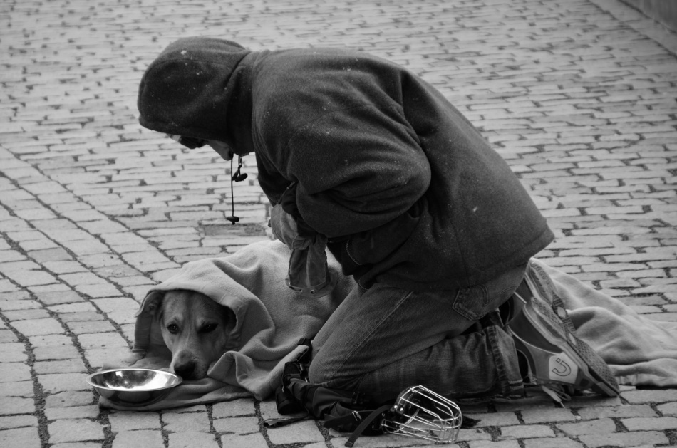 A man and his dog von Mathias Tapio