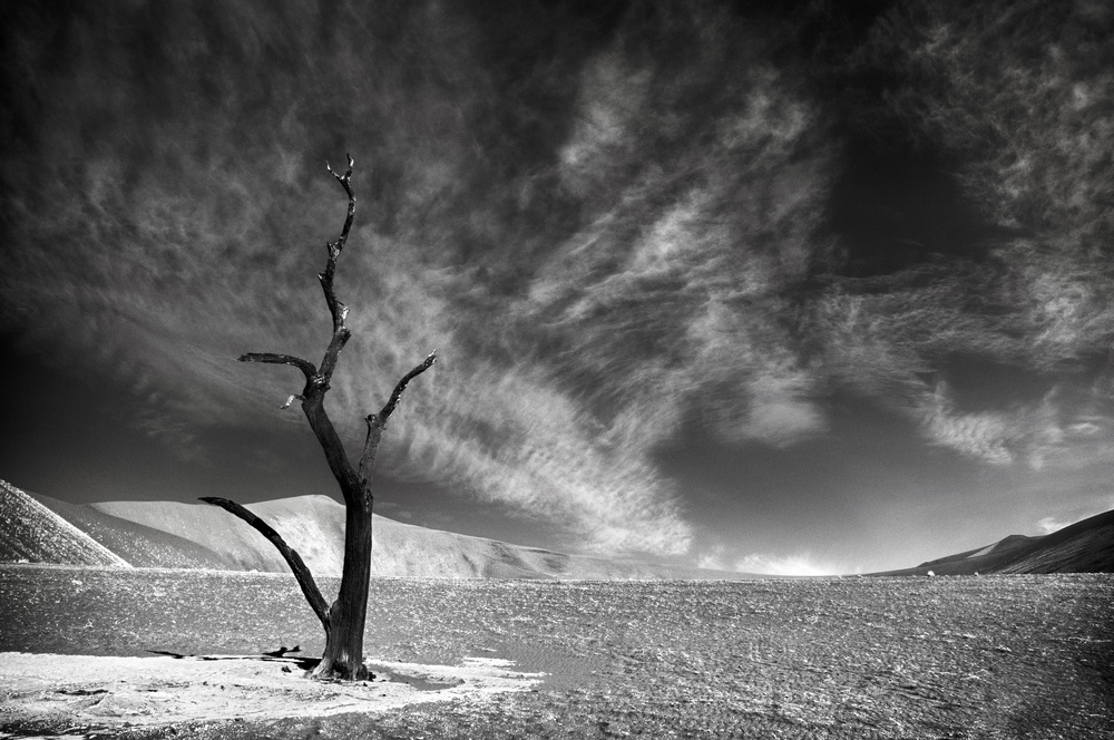 Alone von Mathilde Guillemot