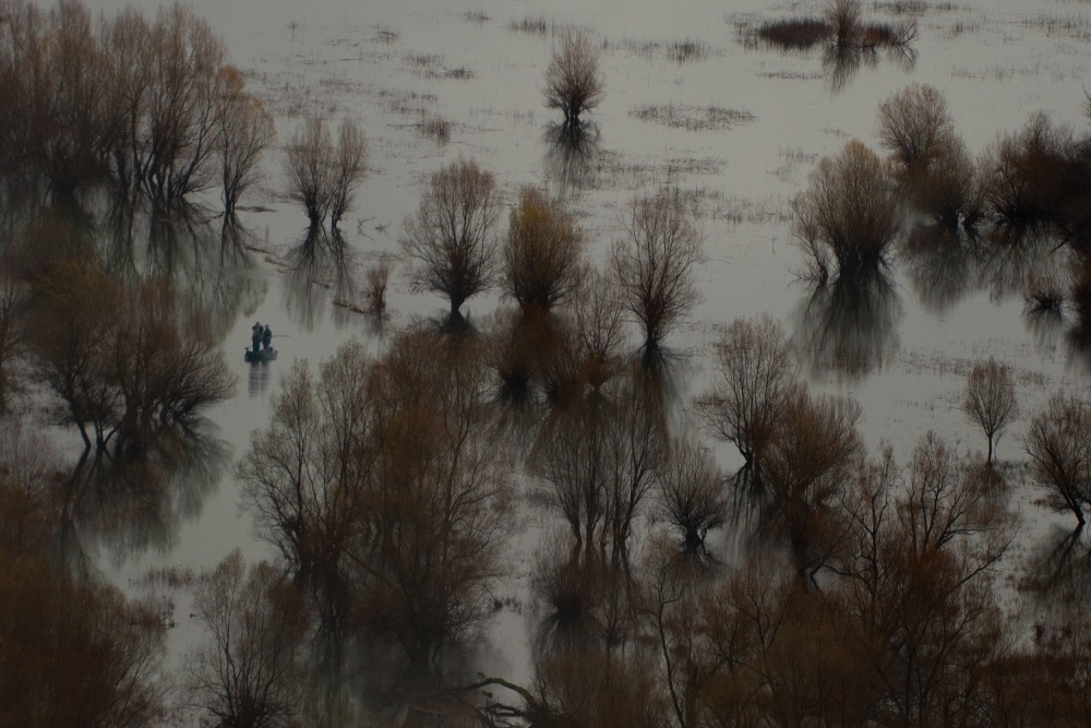 Blend into the landscape von Mathilde Guillemot