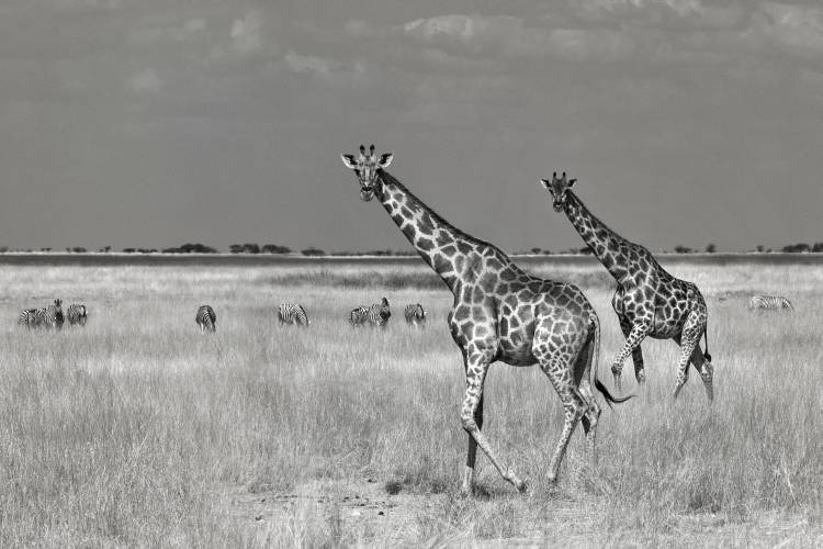 Tourists Spend von Mathilde Guillemot