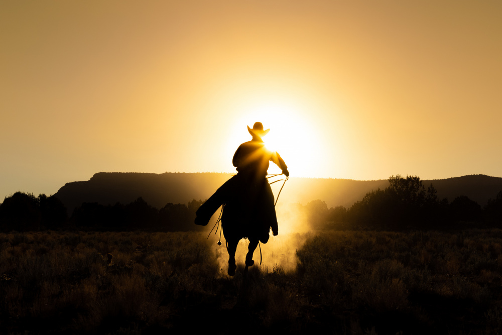 The Cowboy von Matt Jacob