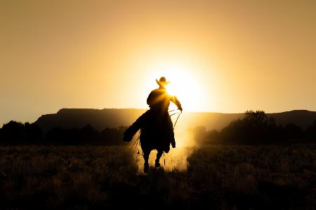 The Cowboy