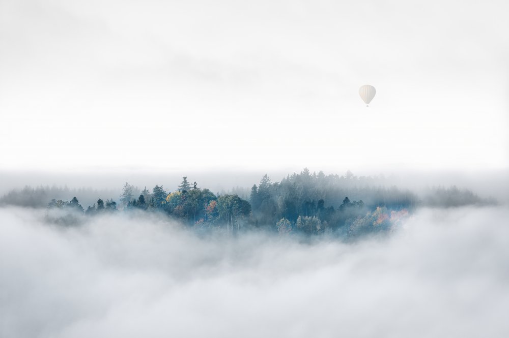 Misty Morning Surprise von Matthias Bergolth