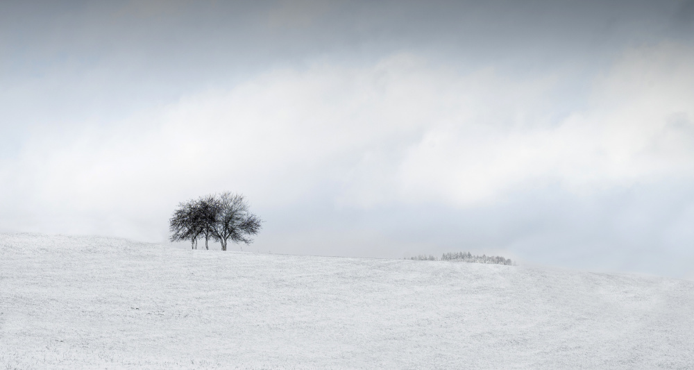 snow von Maurits De Groen