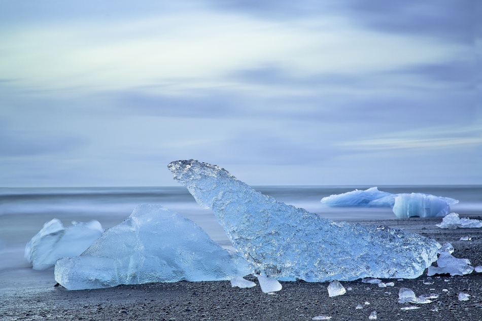 Animals at Jökulsárlón iceberg Zoo (1/5) von Max Witjes