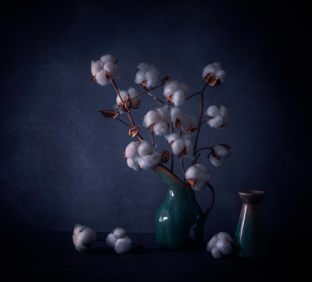 Cotton Flowers von May G