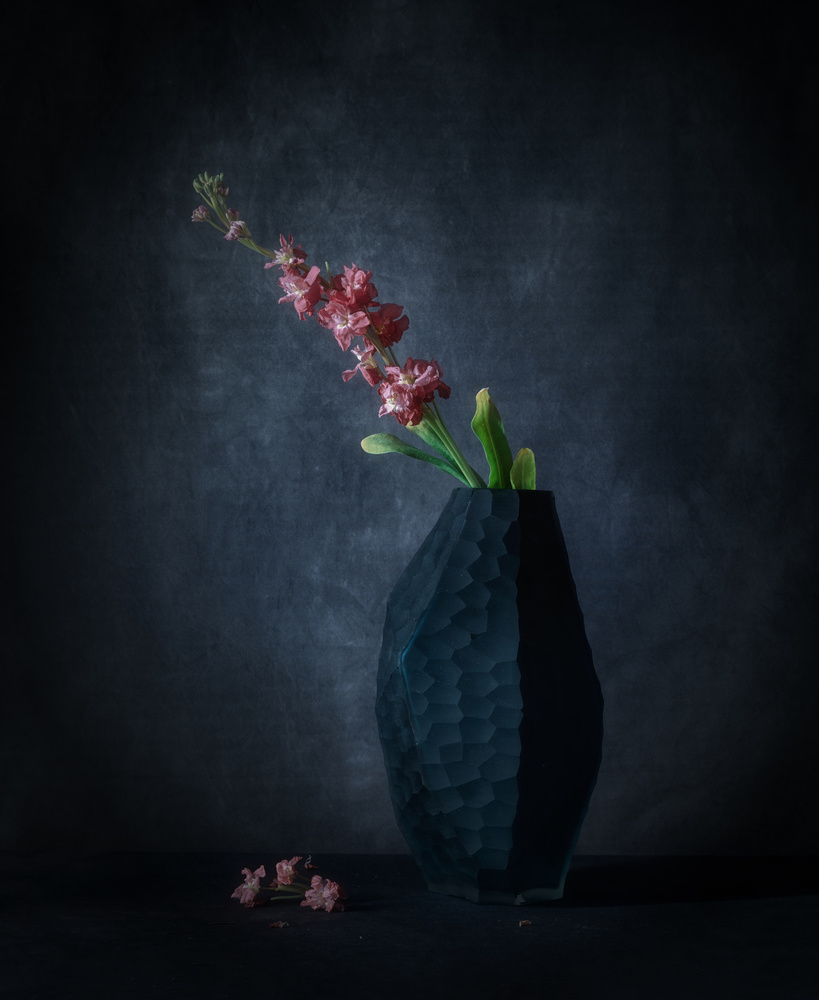 Matthiola Incana with a Rock Vase von May G