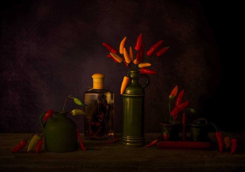 Still Life with Pepper von May G