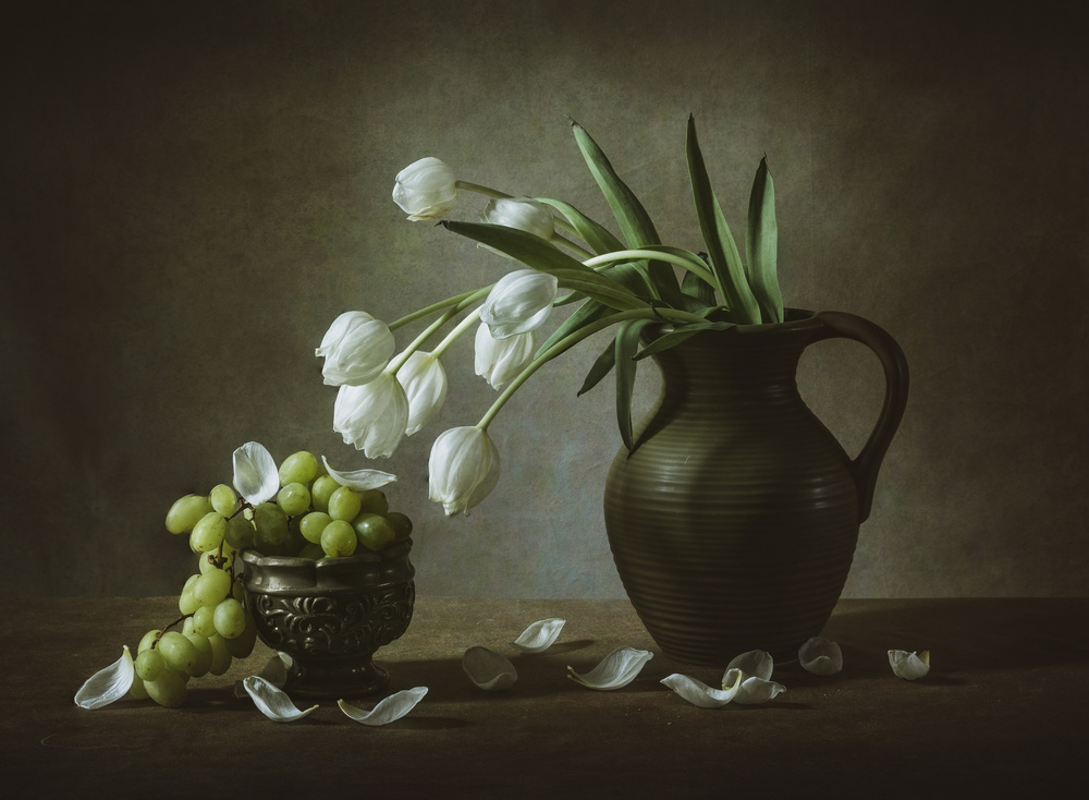 White Tulips von May G