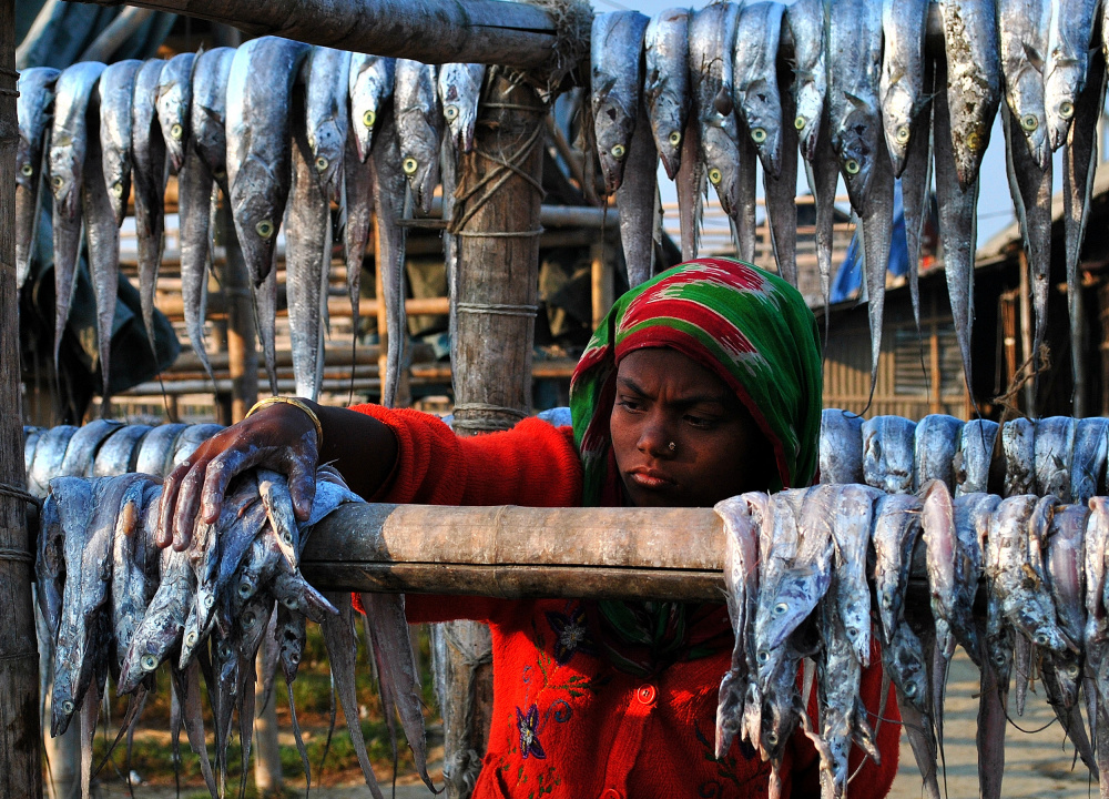 woman at work von MD MAHABUB HOSSAIN KHAN