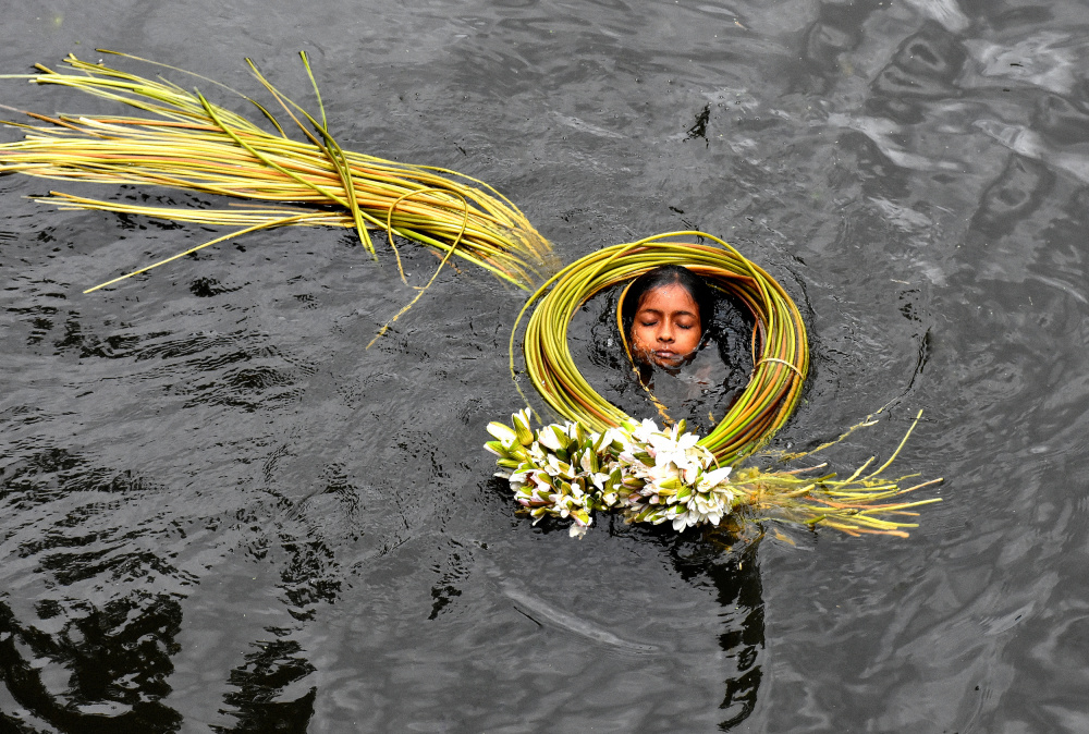 lily girl von MD MAHABUB HOSSAIN KHAN