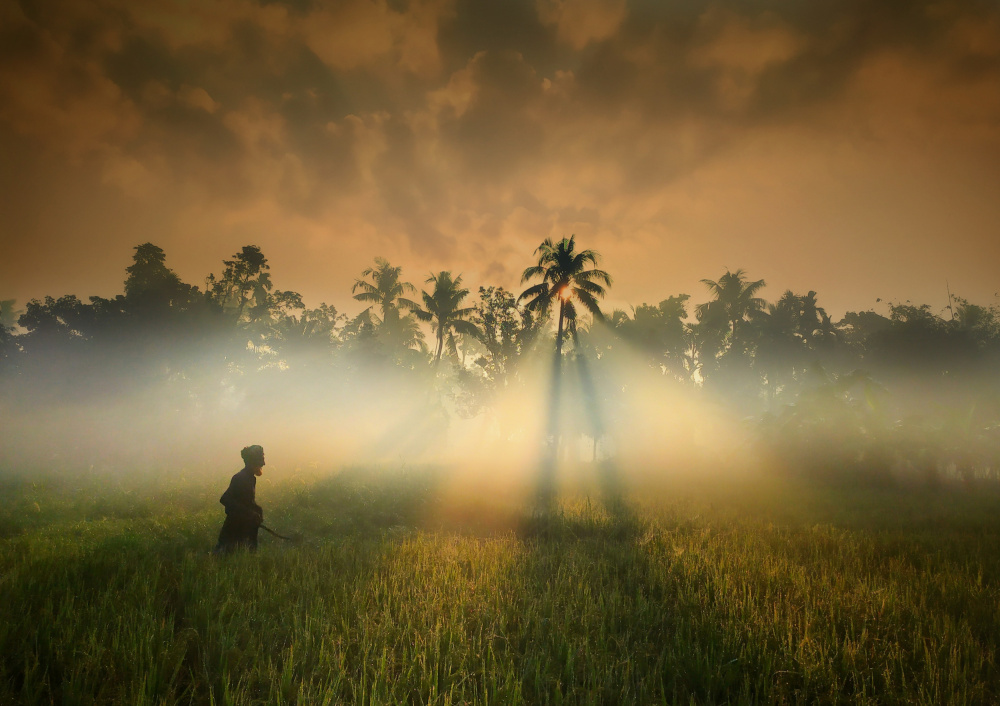 Natural beauty of the village von Md Nayon Hossain