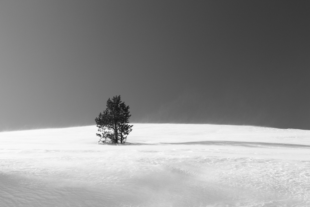 Alone von Mehmet inal