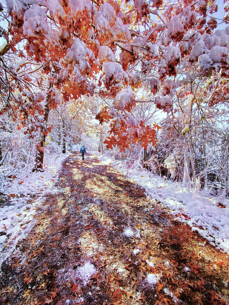 The turn of autumn and winter von Mei Hu