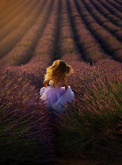 A Girl Running towards the Flower Field