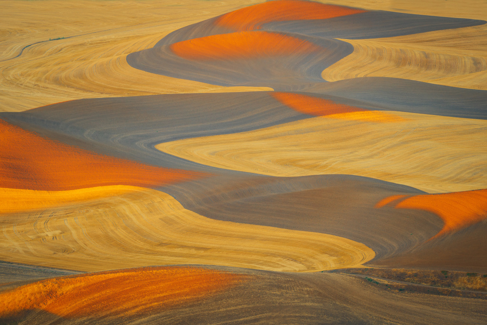 Painted Land von Mei Shi