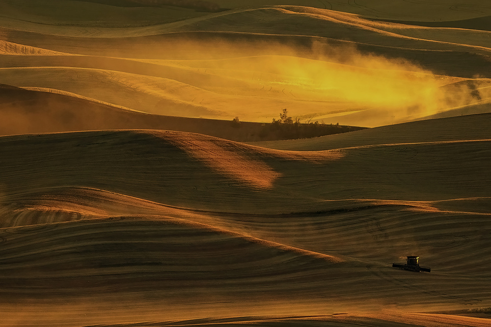 Morning Light von Mei Shi